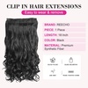 image:imageREECHO 24 1Pack 34 Full Head Curly Wave Clips in on Synthetic Hair Extensions HE008 Hairpieces for Women 5 Clips per PieceNatural BlackNatural Black