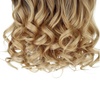 image:imageREECHO 24 1Pack 34 Full Head Curly Wave Clips in on Synthetic Hair Extensions HE008 Hairpieces for Women 5 Clips per PieceNatural BlackOmbre Light Brown to Dirty Blonde