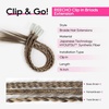 image:imageREECHO 6PCS Clip in Braid Hair Extensions for Women 14 Inch Clip in Braids Synthetic Braided Hairpieces for Daily Costume Party Medium Blonde with Pale HighlightsChocolate Brown with Highlights