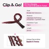 image:imageREECHO Clip in Braid Hair Extensions for Women 16 Boho Dreadlock Clip in Braids with Beads amp Charms 2PCS Handmade Synthetic Braided Hairpieces for Cosplay Daily Styling Dark Brown MixBurgundy  White