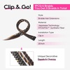 image:imageREECHO Clip in Braid Hair Extensions for Women 16 Boho Dreadlock Clip in Braids with Beads amp Charms 2PCS Handmade Synthetic Braided Hairpieces for Cosplay Daily Styling Dark Brown MixDark Brown Caramel Mix