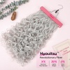 image:imageREECHO Curly Hair Extensions 4PCS 16 inch Clip in Hair Extensions Lace Weft Short Curly Hair Extension Clip Ins Invisible Natural Hairpieces for Women Light Brown with Blonde HighlightsSilver Grey