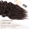 image:imageREECHO Hair Extensions 4PCS Clip in Hair Extensions HE001 Natural Soft Synthetic Hairpieces for Women Light Brown with Blonde HighlightsDark Brown