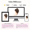 image:imageREECHO Ponytail Extension 12 Classic Loose Curly Wavy Claw Clip Ponytail Wig Extensions Hairpieces for Women  Platinum BlondeChestnut Brown with Highlights