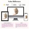 image:imageREECHO Ponytail Extension 12 Classic Loose Curly Wavy Claw Clip Ponytail Wig Extensions Hairpieces for Women  Platinum BlondeDark Ash Blonde with Highlights