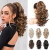 image:imageREECHO Ponytail Extension 12 Classic Loose Curly Wavy Claw Clip Ponytail Wig Extensions Hairpieces for Women  Platinum BlondeLight Brown with Blonde Highlights