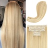 Golden with Highlights