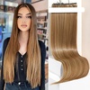 Light Brown with Highlights