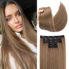 Light Chestnut Brown