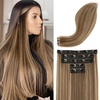 Chocolate Brown with Golden Blonde Highlights