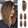Chocolate Brown with Blonde Highlights