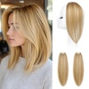Honey Blonde with Highlights