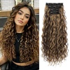 Dark Brown with Highlights
