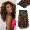 Warm Brown with Highlights