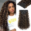 Dark Brown with Highlights