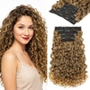 Honey Blonde Mix