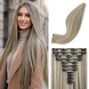 Ash Brown with Highlights