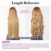 image:imageREECHO Invisible Wire Hair Extensions with Transparent Headband Adjustable Size Removable Secure Clips in Straight Secret Hairpiece for Women  Natural BlackDark Brown with Copper Highlights