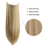 image:imageREECHO Invisible Wire Hair Extensions with Transparent Headband Adjustable Size Removable Secure Clips in Straight Secret Hairpiece for Women  Natural BlackGolden Blonde with Highlights