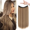 Light Brown with Blonde Highlights