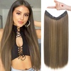 Chocolate Brown with Highlights