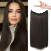Cool Dark Brown