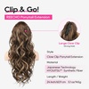 image:imageREECHO 24 Ponytail Extension Long Curly Claw Clip Ponytail Extension Jaw Clip in Pony Tails Natural Synthetic Hairpiece for Women Daily Medium Blonde with Blonde HighlightsChestnut Brown with Golden Highlights