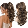 Chocolate Brown with Highlights