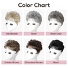 image:imageREECHO Hair Topper Short Wiglet Hair Topper for Women with Thinning Large Coverage Synthetic Top Crown Hairpiece for Women  Ash BlondeMedium Blonde