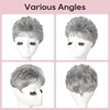 image:imageREECHO Hair Topper Short Wiglet Hair Topper for Women with Thinning Large Coverage Synthetic Top Crown Hairpiece for Women  Ash BlondeSilver Mist