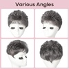image:imageREECHO Hair Topper Short Wiglet Hair Topper for Women with Thinning Large Coverage Synthetic Top Crown Hairpiece for Women  Ash BlondeSteel Gray